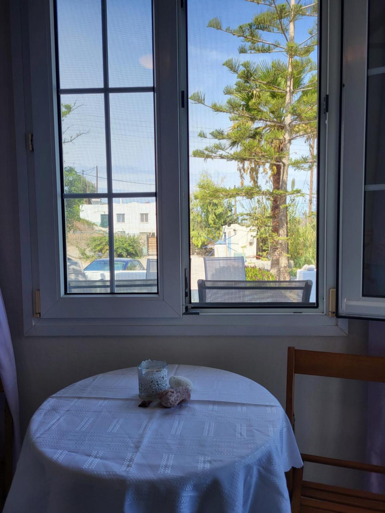 Black Fig Pollonia Room photo